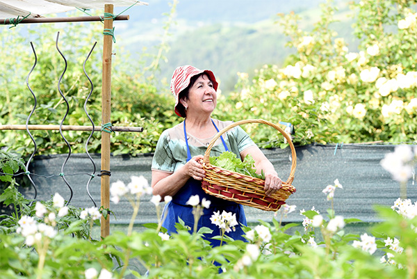 a woman standing outside and holding a basket of cabbage